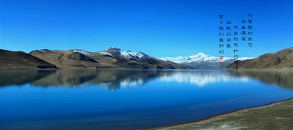 么好但不会像你想象得那么糟既然选择了无论好的还是糟的请坚持下去！PG麻将胡了试玩我的365天创业日记—创业永远不可能像你想象得那(图4)