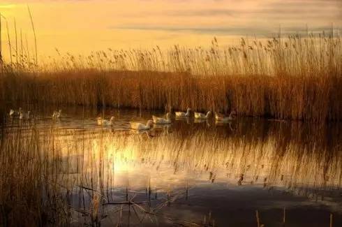 么好但不会像你想象得那么糟既然选择了无论好的还是糟的请坚持下去!PG麻将胡了试玩我的365天创业日记—创业永远不可能像你想象得那(图12) 么好但不会像你想象得那么糟既然选择了无论好的还是糟的请坚持下去!PG麻将胡了试玩我的365天创业日记—创业永远不可能像你想象得那(图12)